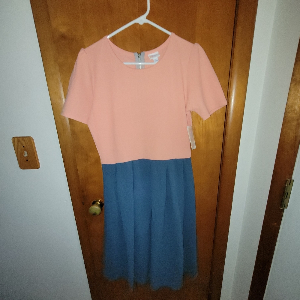 LuLaRoe Amelia in Pink and Blue
